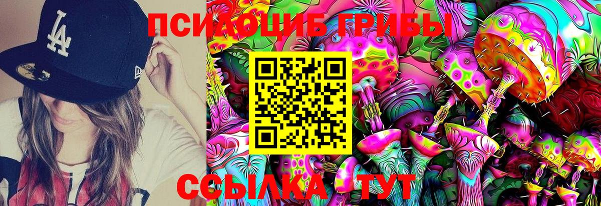 Абакан  Псилоцибиновые грибы Psilocybe  Галлюциногенные грибы Psilocybe  Вход с VPN 