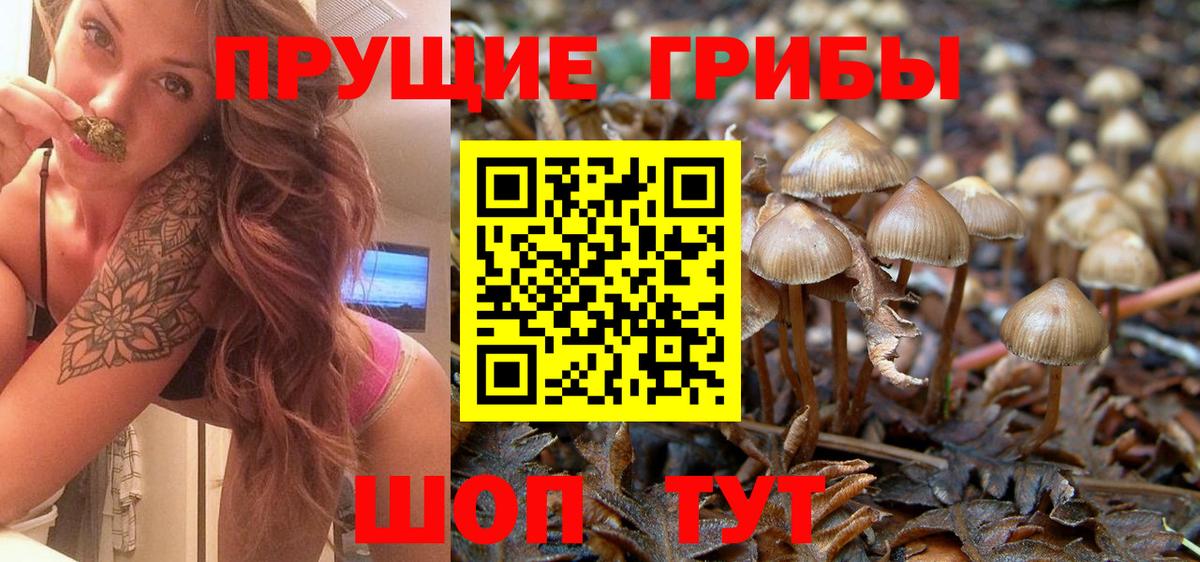 Псилоцибиновые грибы Magic Shrooms Абакан